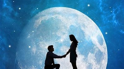 عشق الليث بقلم روكا
