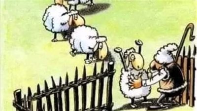 قانون الخراف
