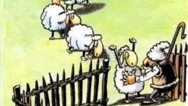 موقع أيام نيوز