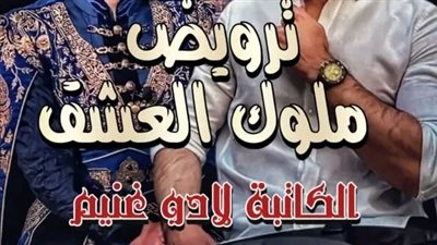 الحلقة الاولي بقلم لادو غنيم 