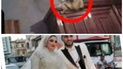 عروس الدقهلية الجزء الاخير
