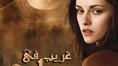 غريب في قلبي الجزء الثاني والاخير بقلم رغدة 