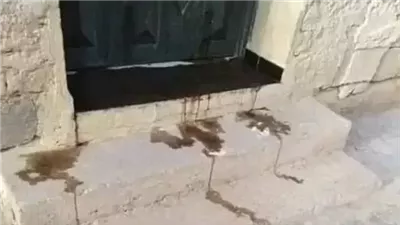 قصة واقعية   دود يخرج من منزل عروس وعريس ولن تصدق مالسبب